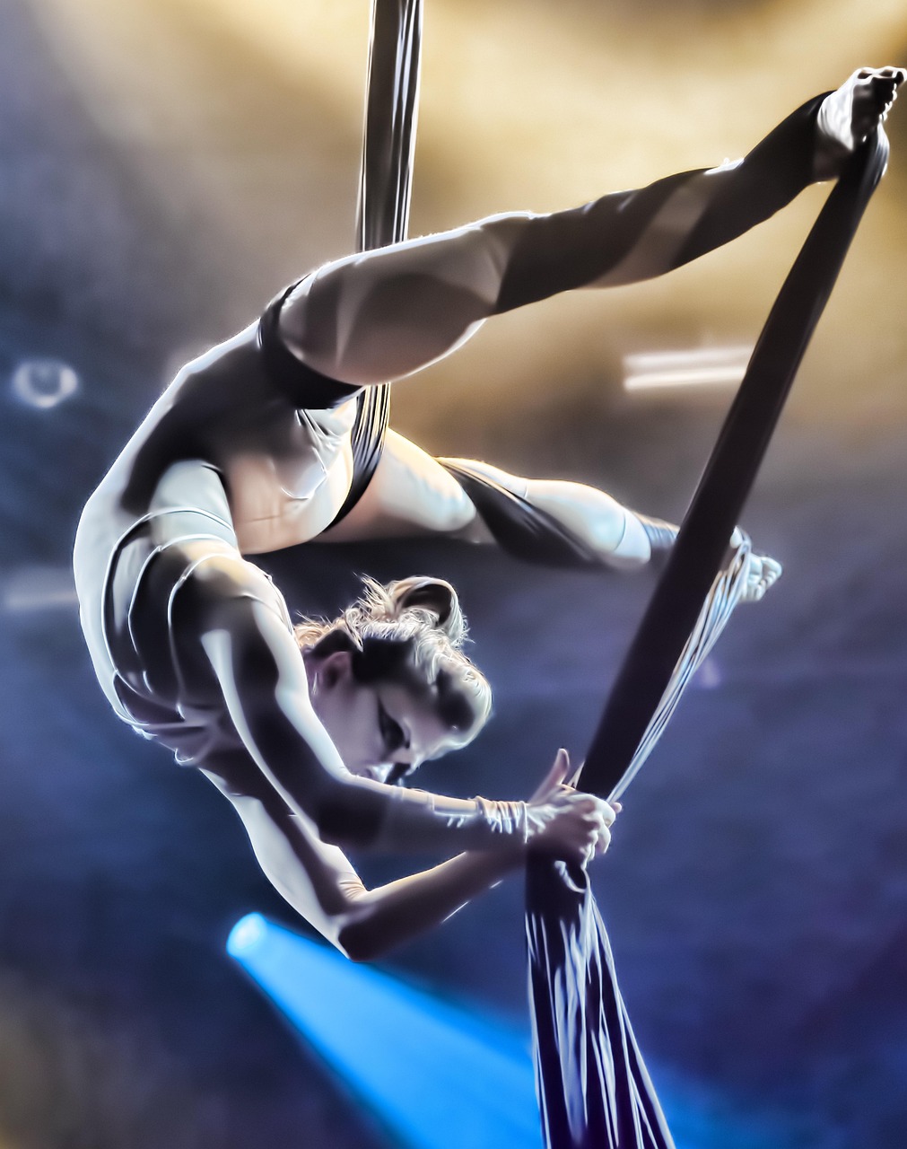portfolio-03 circus, performance, woman, women, entertainment, show, performer, carnival, fun, event, amusement, gymnastics, circus, circus, circus, circus, circus